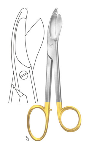 Plaster Shears